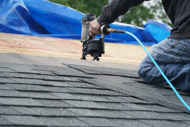 Best Roof Gutter Cleaning  in Twain Harte, CA